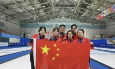 冠军队伍战胜劲旅，为球迷带来惊喜的简单介绍