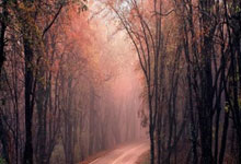 布莱顿客场逼平强敌，稳固积分榜上的黄金位置