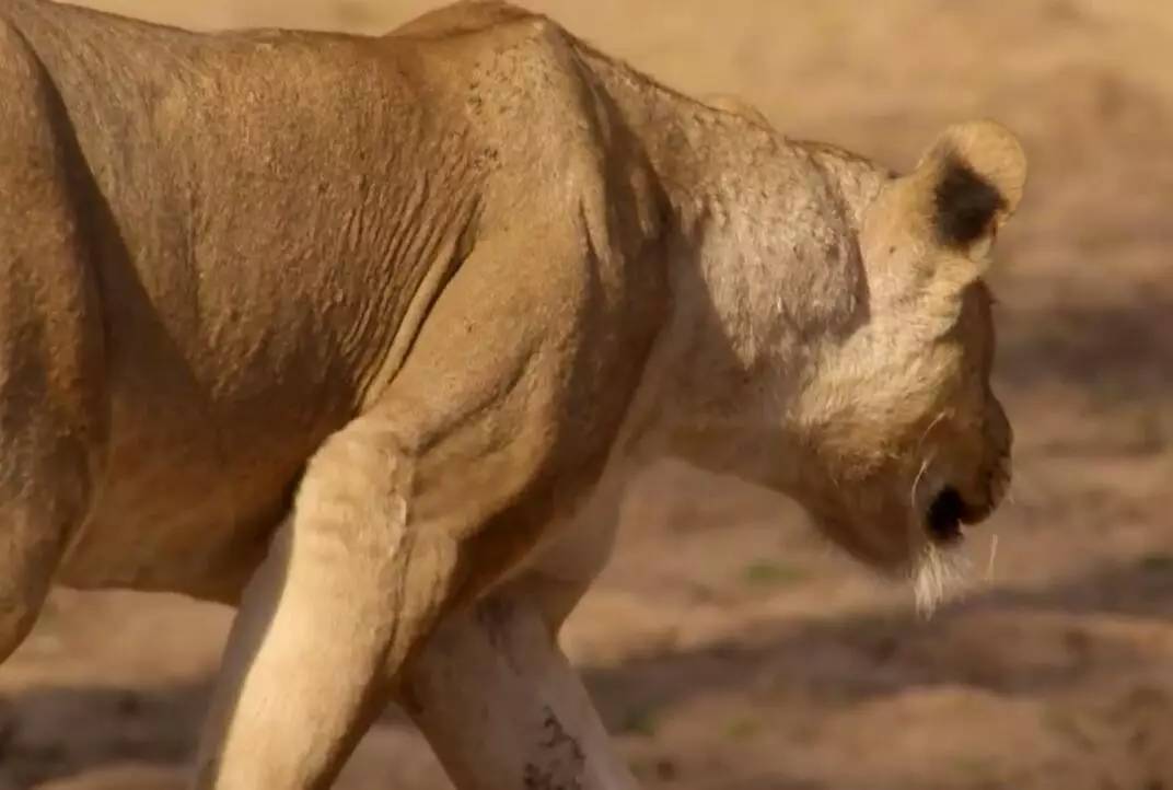 比赛中出现了不可思议的一幕 比赛中出现了不可思议的一幕